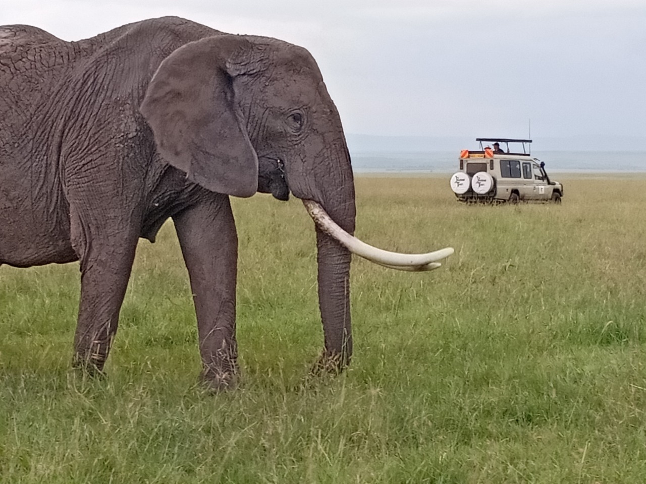 caldera criuse in santorini